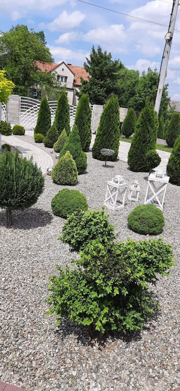 WhatsApp Image 2025-09-22 at 15.51.42 (1)